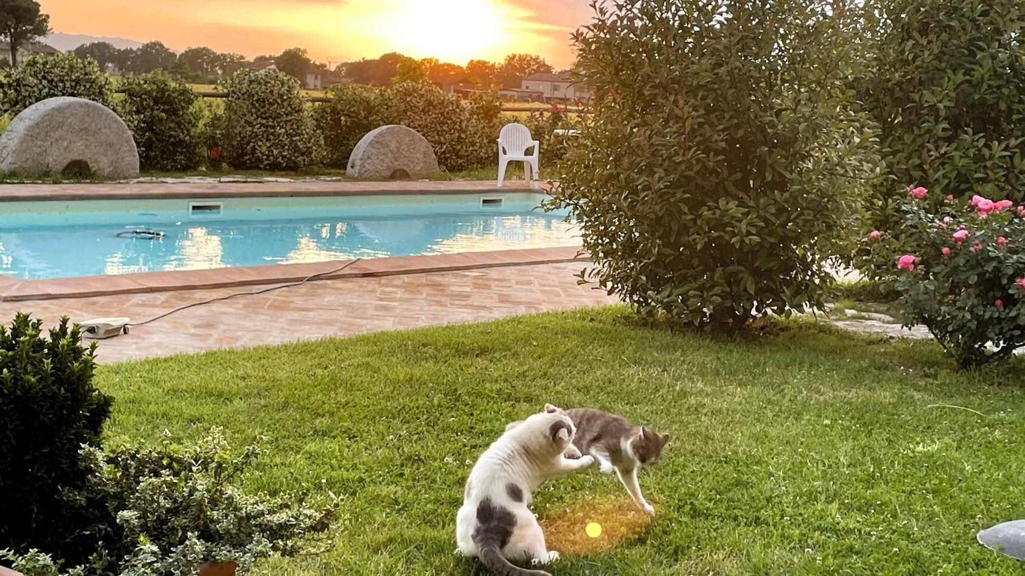 Antiche Dimore San Felice Spello Kültér fotó